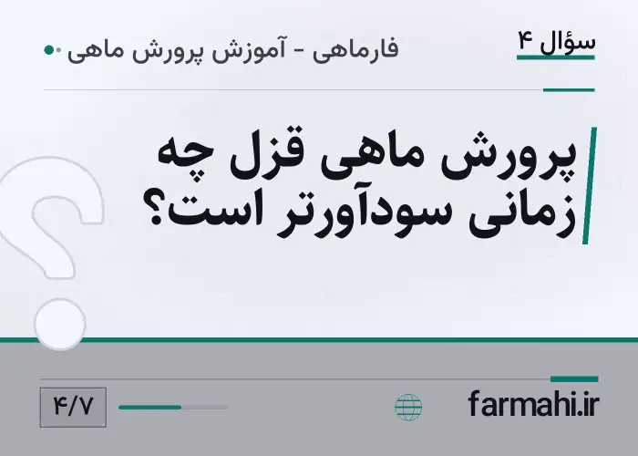 پرورش ماهی قزل چه زمانی سودآورتر است؟