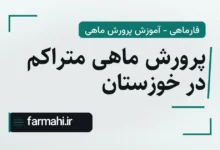 پرورش ماهی متراکم در خوزستان