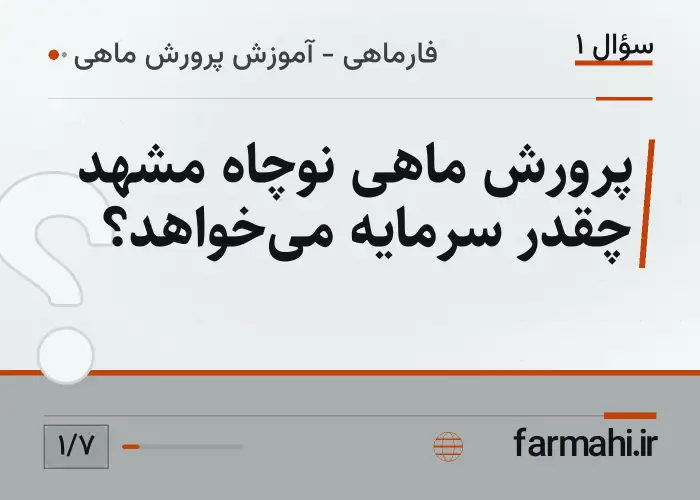 پرورش ماهی نوچاه مشهد چقدر سرمایه می‌خواهد؟