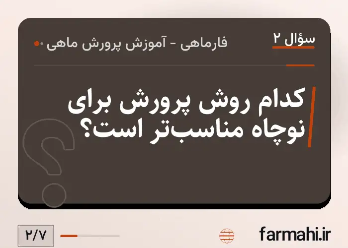 کدام روش پرورش برای نوچاه مناسب‌تر است؟