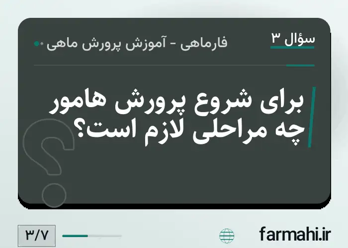برای شروع پرورش هامور چه مراحلی لازم است؟