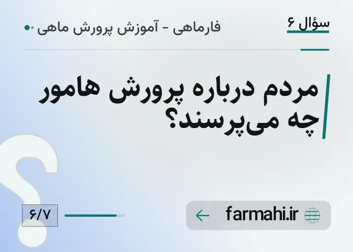 مردم درباره پرورش هامور چه می‌پرسند؟