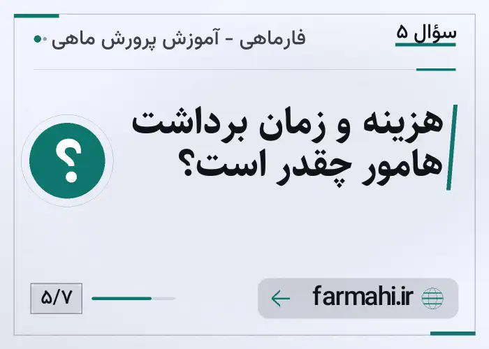 هزینه و زمان برداشت هامور چقدر است؟