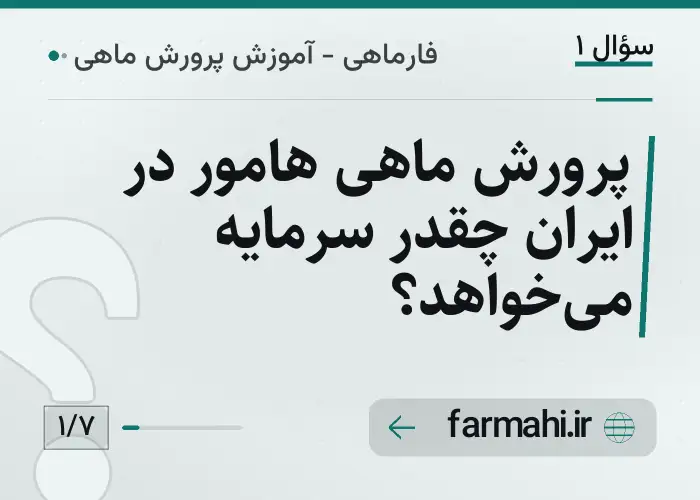 پرورش ماهی هامور در ایران چقدر سرمایه می‌خواهد؟