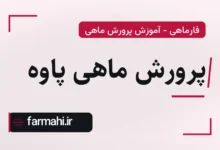 پرورش ماهی پاوه