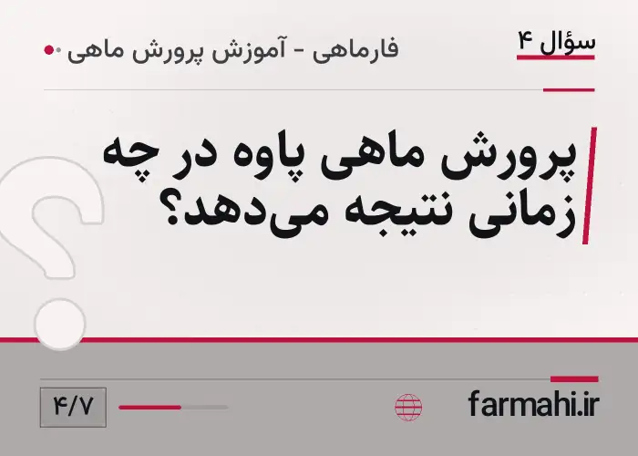 پرورش ماهی پاوه در چه زمانی نتیجه می‌دهد؟