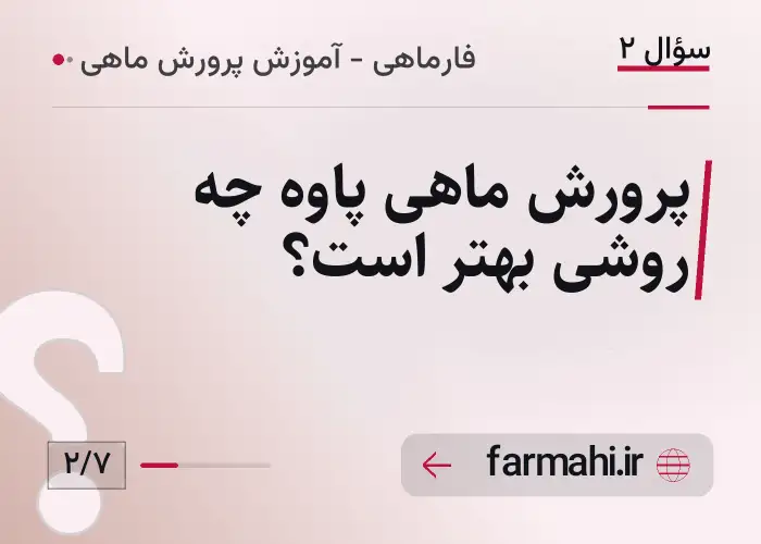 پرورش ماهی پاوه چه روشی بهتر است؟