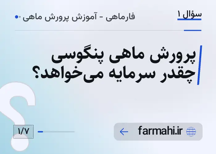 پرورش ماهی پنگوسی چقدر سرمایه می‌خواهد؟