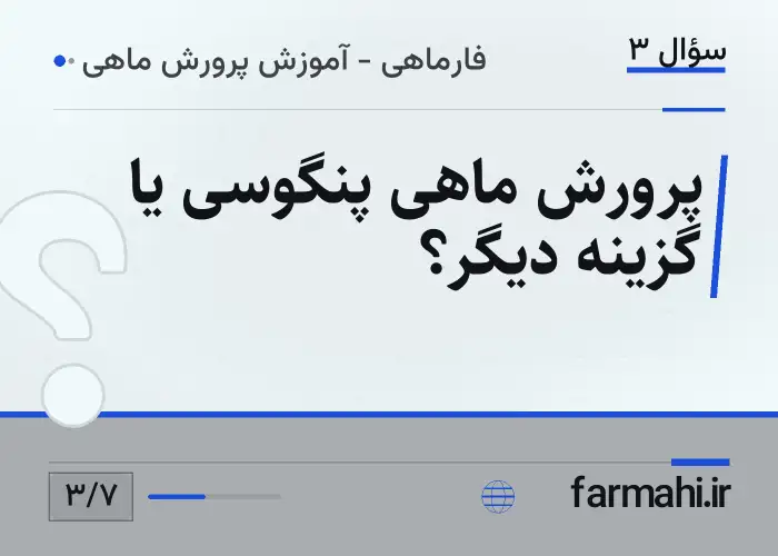 پرورش ماهی پنگوسی یا گزینه دیگر؟