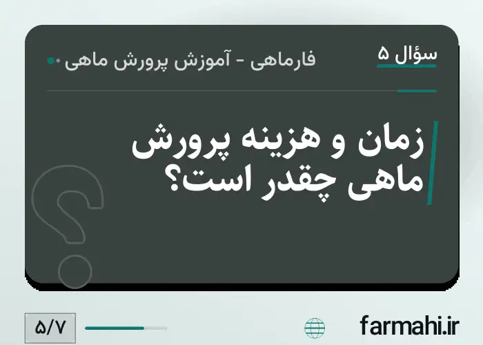 زمان و هزینه پرورش ماهی چقدر است؟