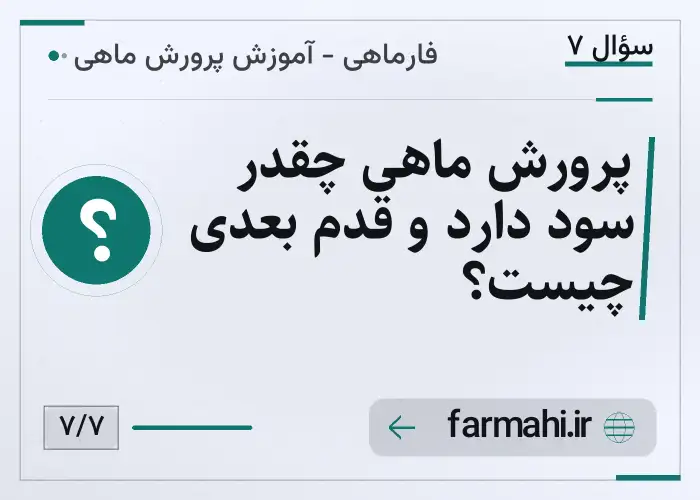 پرورش ماهی چقدر سود دارد و قدم بعدی چیست؟