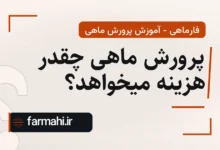 پرورش ماهی چقدر هزینه میخواهد؟