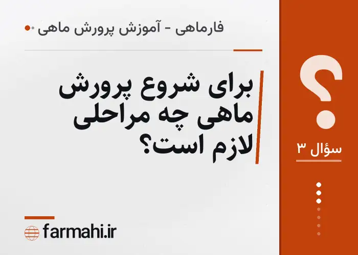 برای شروع پرورش ماهی چه مراحلی لازم است؟