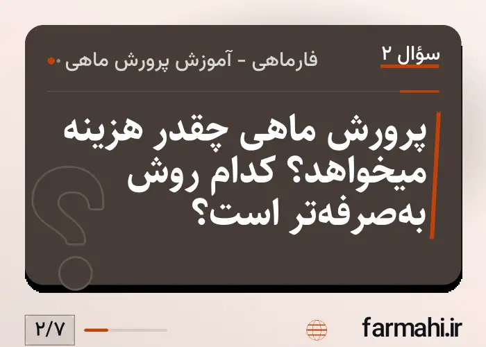 پرورش ماهی چقدر هزینه میخواهد؟ کدام روش به‌صرفه‌تر است؟