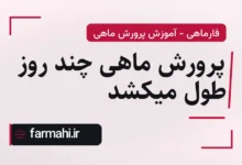 پرورش ماهی چند روز طول میکشد