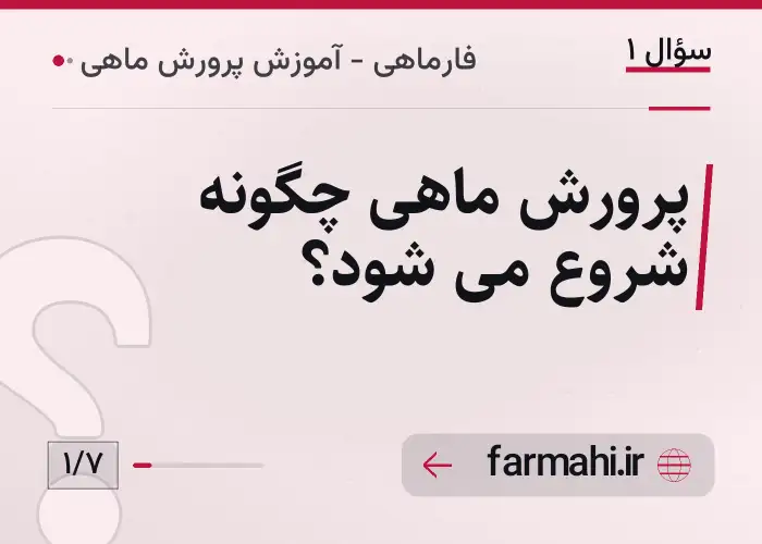 پرورش ماهی چگونه شروع می شود؟
