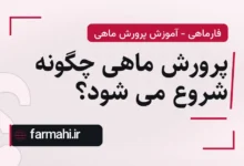 پرورش ماهی چگونه شروع می شود؟
