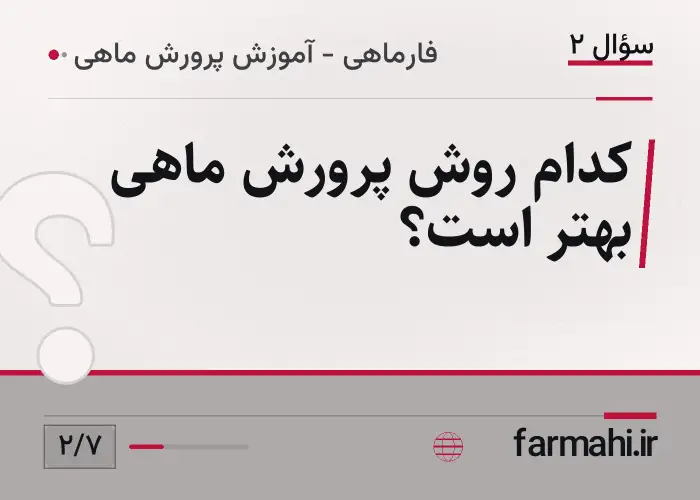 کدام روش پرورش ماهی بهتر است؟