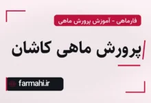 پرورش ماهی کاشان