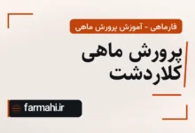 پرورش ماهی کلاردشت