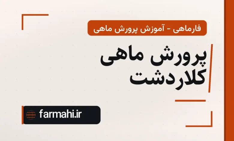 پرورش ماهی کلاردشت