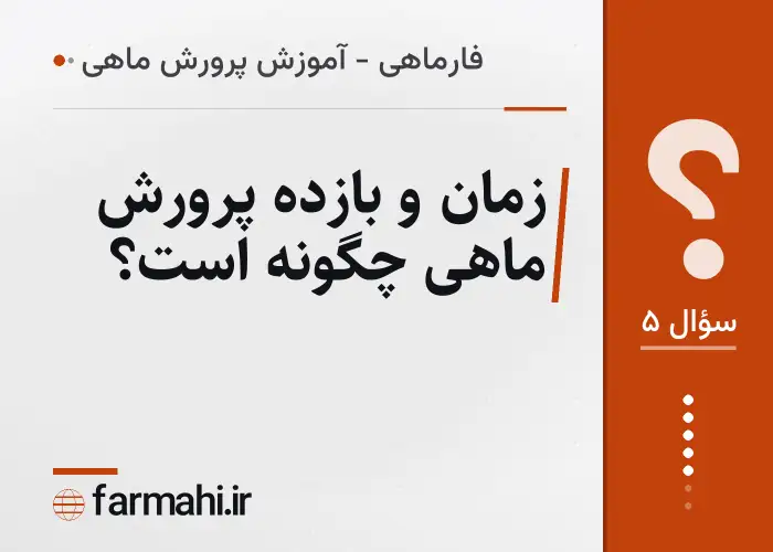 زمان و بازده پرورش ماهی چگونه است؟
