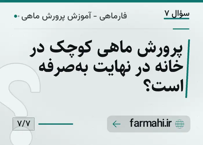 پرورش ماهی کوچک در خانه در نهایت به‌صرفه است؟