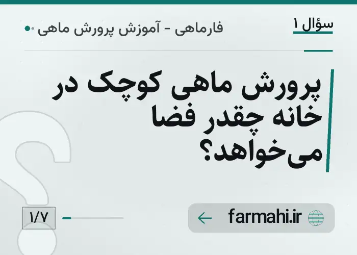 پرورش ماهی کوچک در خانه چقدر فضا می‌خواهد؟