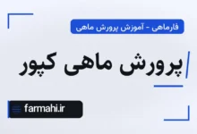 پرورش ماهی کپور