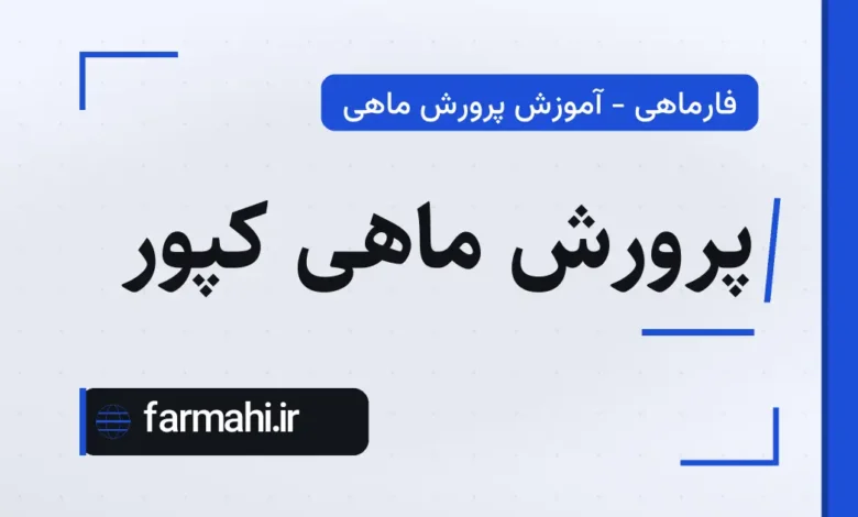 پرورش ماهی کپور