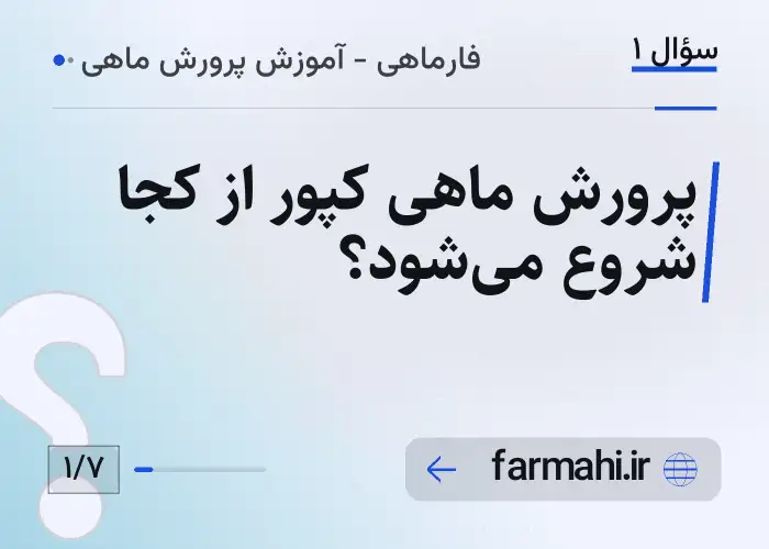 پرورش ماهی کپور از کجا شروع می‌شود؟