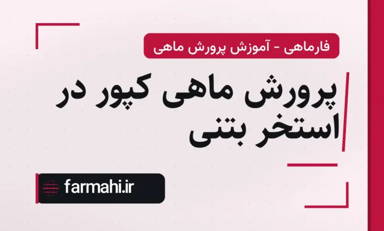 پرورش ماهی کپور در استخر بتنی