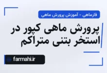 پرورش ماهی کپور در استخر بتنی متراکم