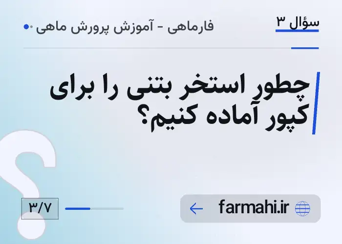 چطور استخر بتنی را برای کپور آماده کنیم؟