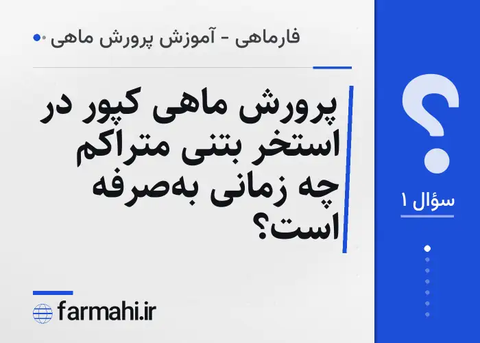 پرورش ماهی کپور در استخر بتنی متراکم چه زمانی به‌صرفه است؟