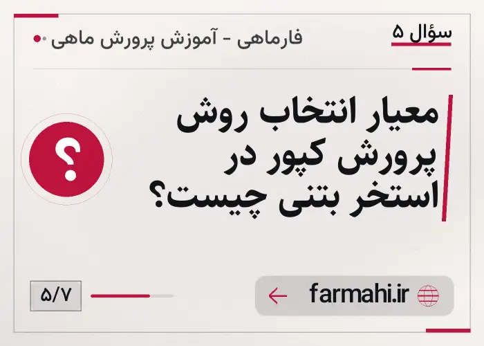 معیار انتخاب روش پرورش کپور در استخر بتنی چیست؟