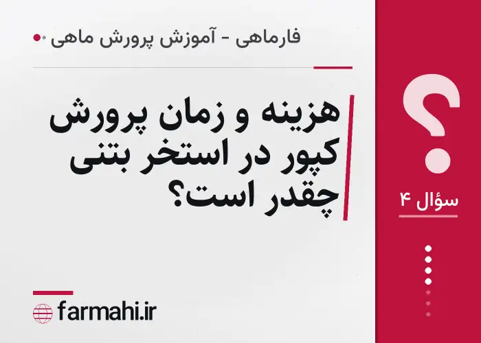 هزینه و زمان پرورش کپور در استخر بتنی چقدر است؟