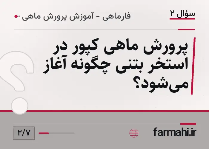 پرورش ماهی کپور در استخر بتنی چگونه آغاز می‌شود؟