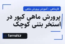 پرورش ماهی کپور در استخر بتنی کوچک
