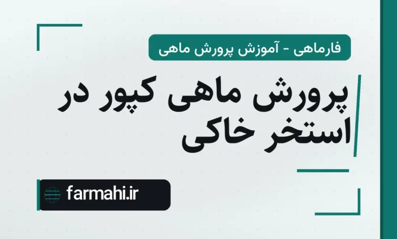 پرورش ماهی کپور در استخر خاکی