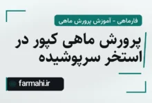 پرورش ماهی کپور در استخر سرپوشیده