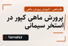 پرورش ماهی کپور در استخر سیمانی