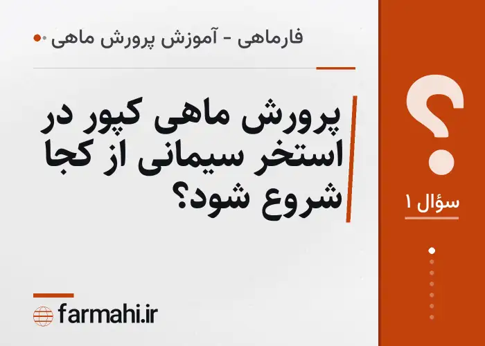پرورش ماهی کپور در استخر سیمانی از کجا شروع شود؟