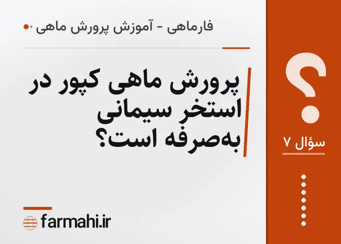 پرورش ماهی کپور در استخر سیمانی به‌صرفه است؟