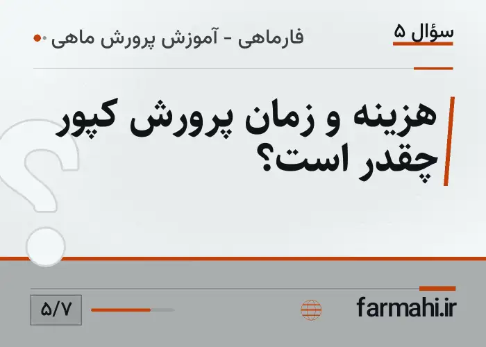 هزینه و زمان پرورش کپور چقدر است؟