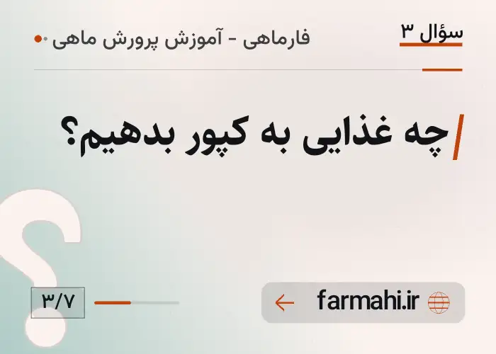 چه غذایی به کپور بدهیم؟