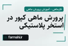 پرورش ماهی کپور در استخر پلاستیکی