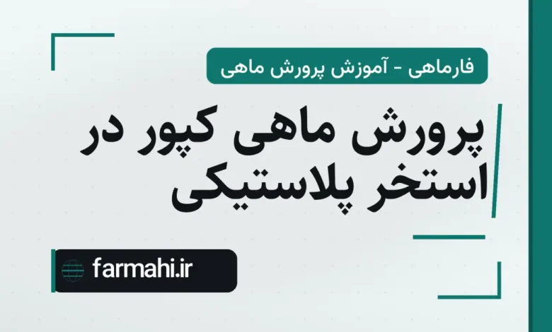 پرورش ماهی کپور در استخر پلاستیکی