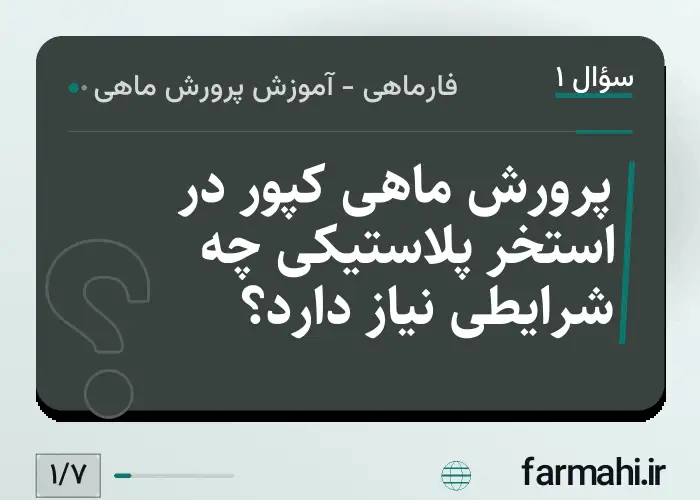 پرورش ماهی کپور در استخر پلاستیکی چه شرایطی نیاز دارد؟
