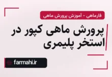 پرورش ماهی کپور در استخر پلیمری